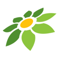 LINK SAKURA138